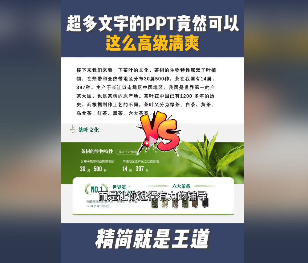 真绝！超多文字的PPT竟然可以这么高级清爽？我服了...